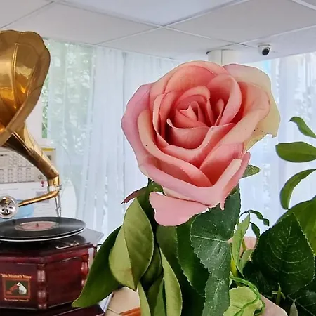 酒店 卡匹托尔酒店 3*