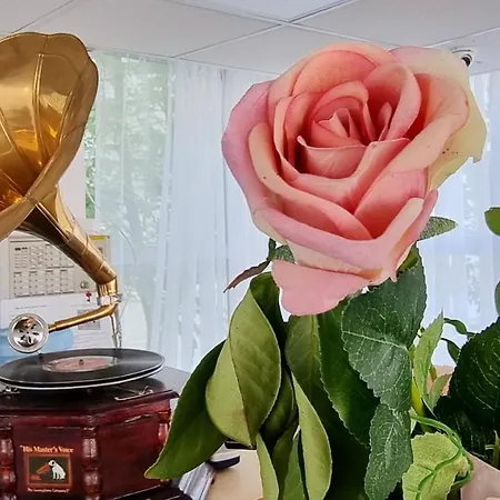 Capitol Hotel Eforie Sud (Constanta)